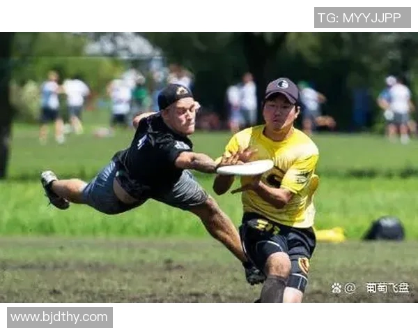 飞盘新手必看：轻松掌握技巧与配合的全面入门指南